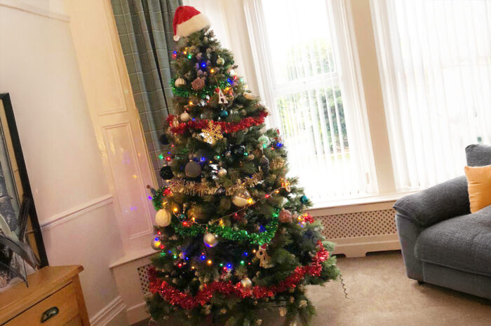 Christmas has begun at Acrefield House