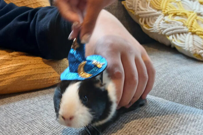 Celebrating Creativity and Connection at Oaklea Grange